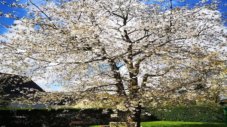 Holiday home in Dumsevitz