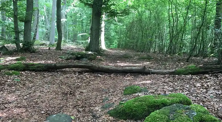 Ferienwohnung in Ellar