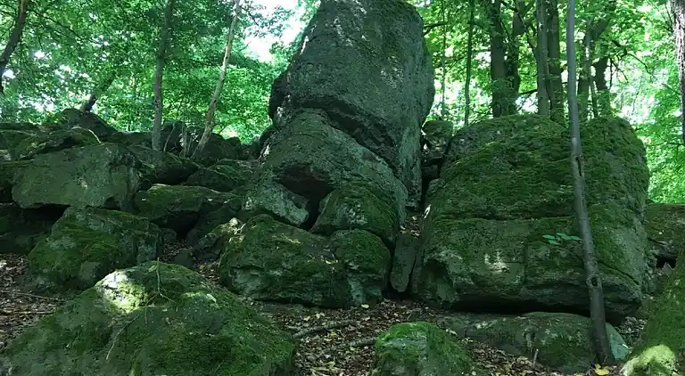 Ferienwohnung in Ellar