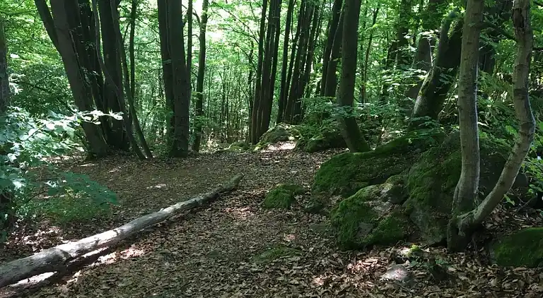 Ferienwohnung in Ellar