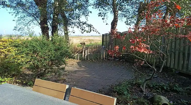 Ferienhaus in Sint Maartensvlotbrug