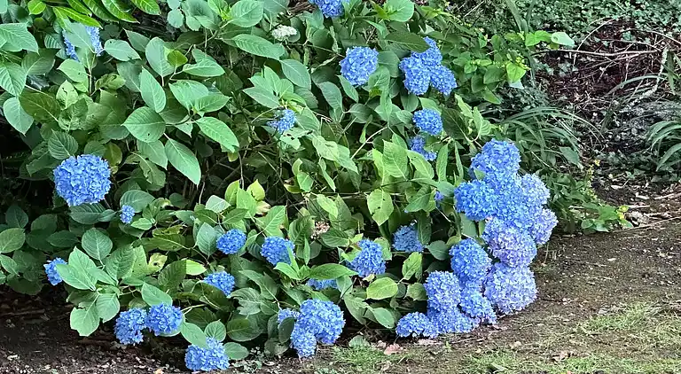 Holiday home in Elliant