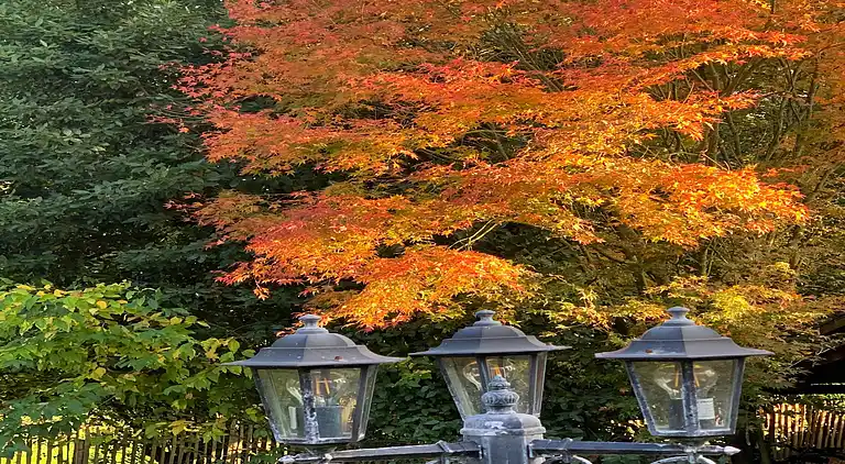 Holiday home in Elliant