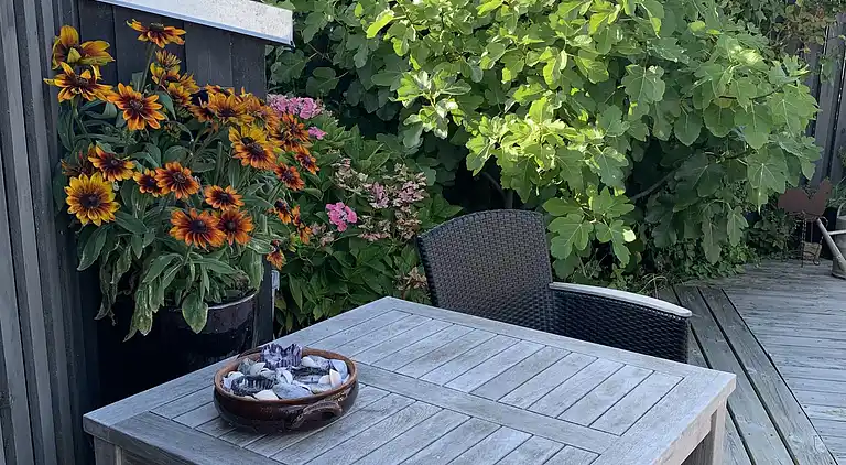 Hyggeligt sommerhus ved Hasmark Strand