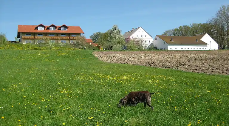 Apartment in Malching