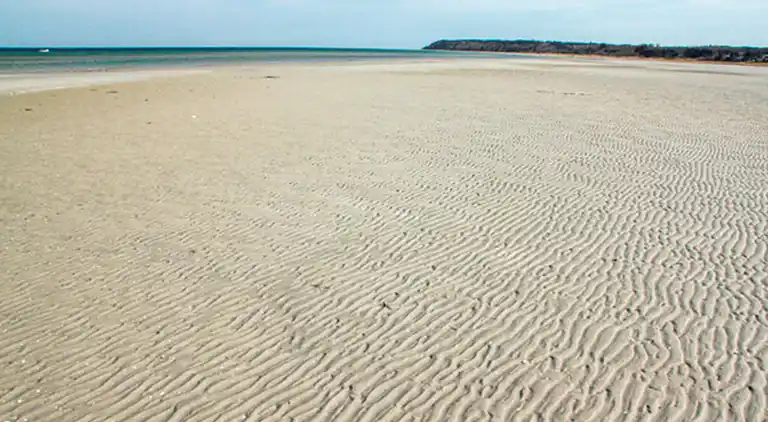 Hyggeligt bjælkehus med panoramaudsigt