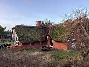 Ferienhaus am Blåvand Strand