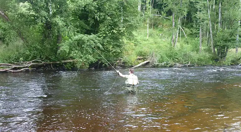 Leilighet i Spiegelau