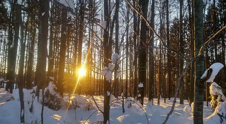 Leilighet i Spiegelau