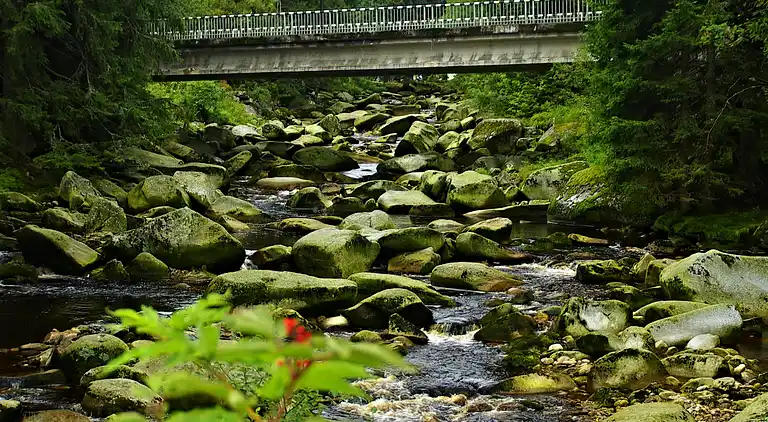 Leilighet i Spiegelau