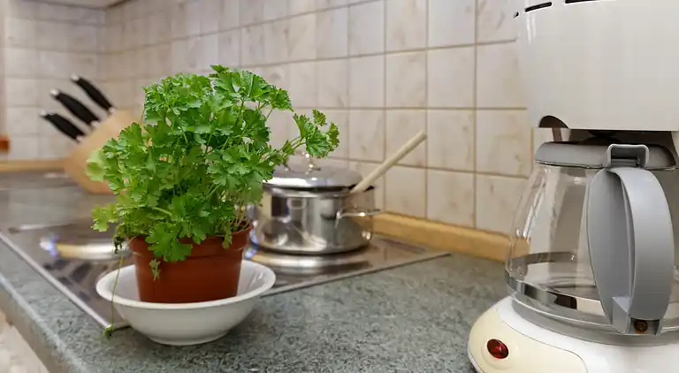 Leilighet i Spiegelau