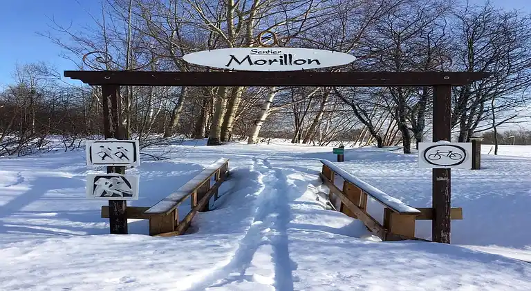 Apartment in Morillon