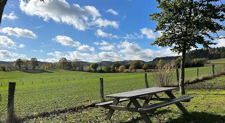 Vakantiehuis in Düdinghausen