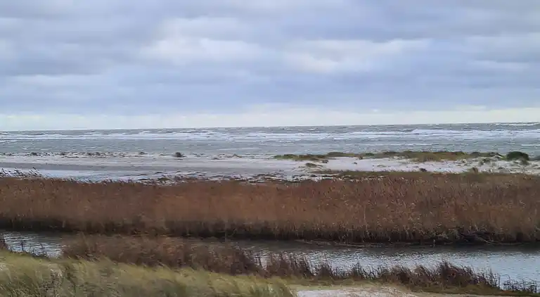Hyggeligt sommerhus ved Hals