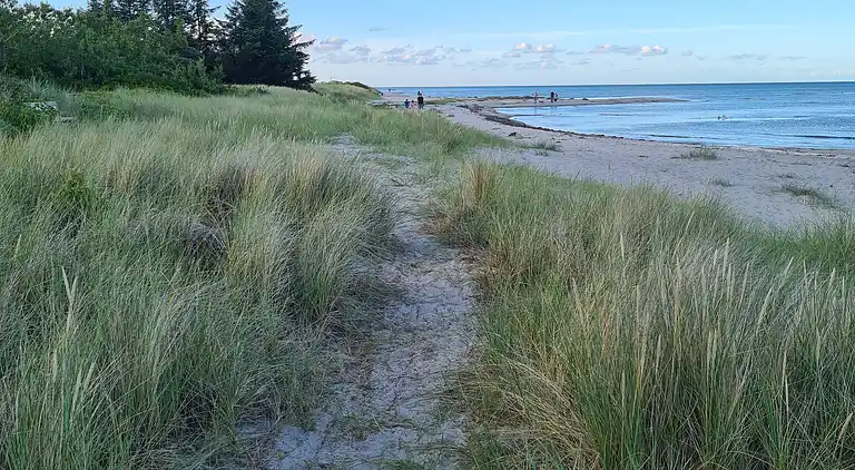 Hyggeligt sommerhus ved Hals