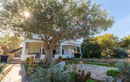 Apartment in Trogir