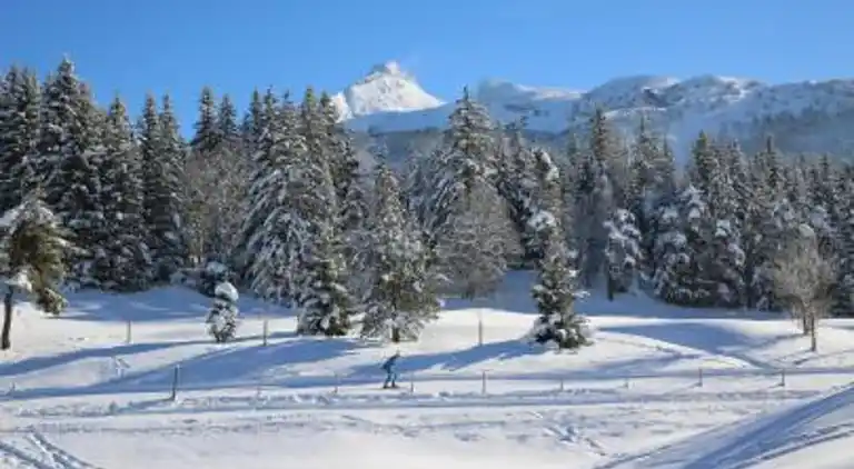 Apartment in Lans-en-Vercors