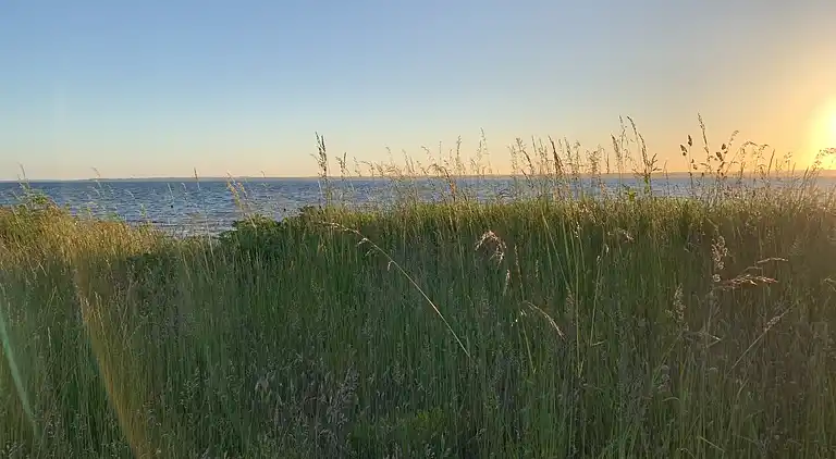 Hyggeligt sommerhus med dejlig udsigt.