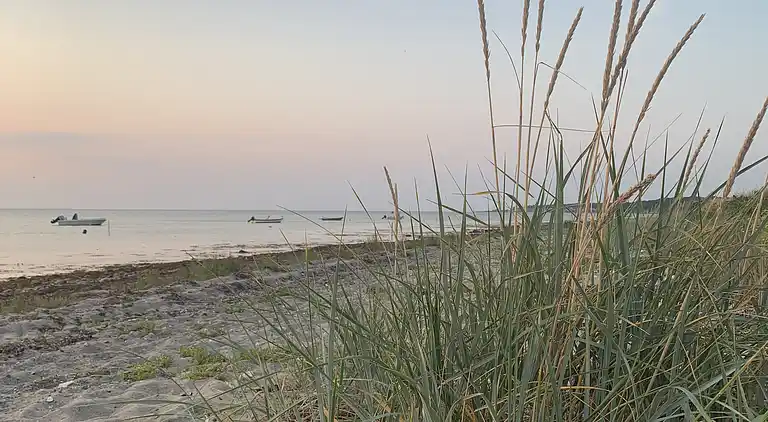 Hyggeligt sommerhus med dejlig udsigt.