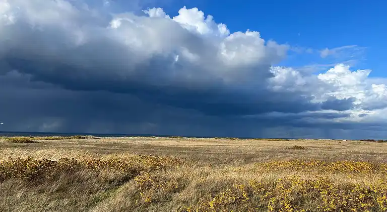 Hyggeligt sommerhus med dejlig udsigt.