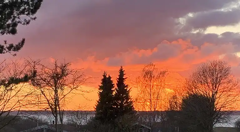 Hyggeligt sommerhus med dejlig udsigt.