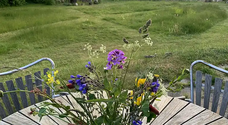 Hyggeligt sommerhus med dejlig udsigt.