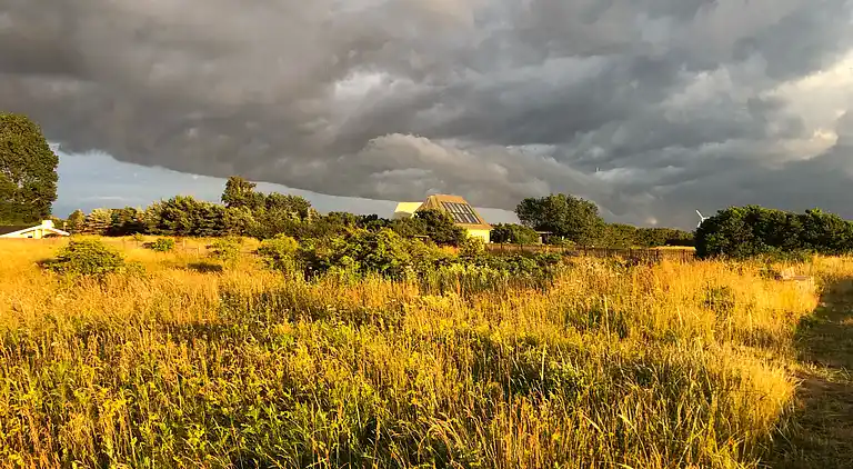 Hyggeligt sommerhus med dejlig udsigt.