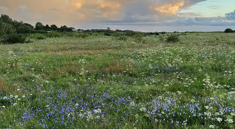 Hyggeligt sommerhus med dejlig udsigt.