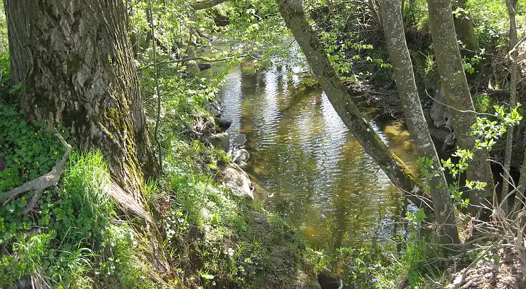 Ferielejlighed i Malching