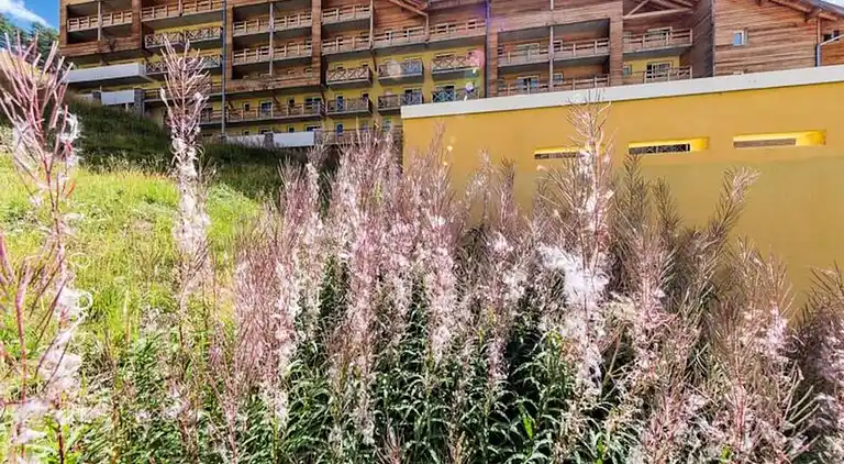 Ferienwohnung in Allos