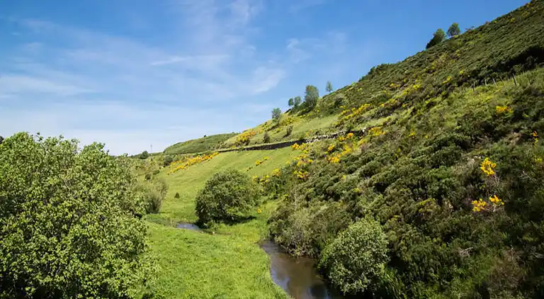 Appartement au Montbel