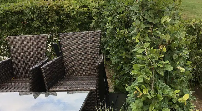 Schönes Ferienhaus mit Meerblick