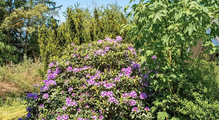 Holiday home in Fårvang