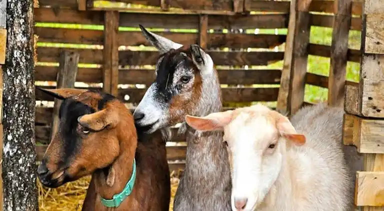 Ferienwohnung in Sorges