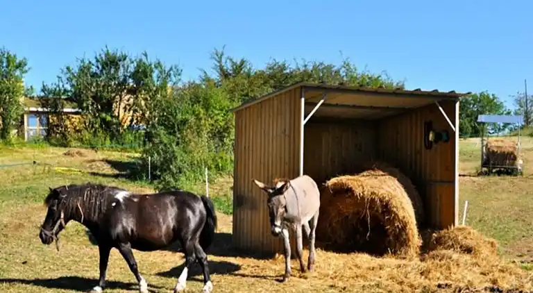 Ferienwohnung in Sorges