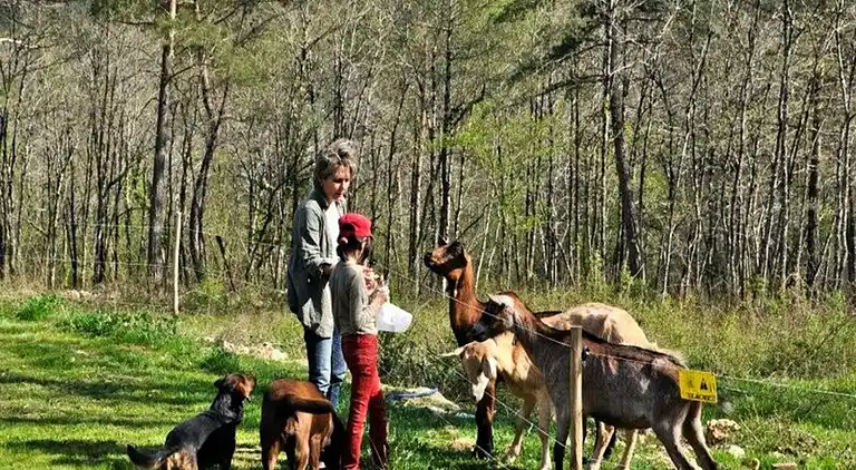 Ferienwohnung in Sorges