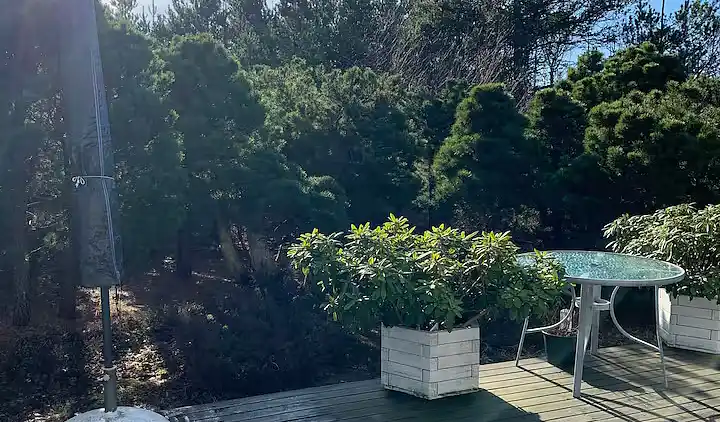 Feriehus ved stranden med hyggelig atmosfære