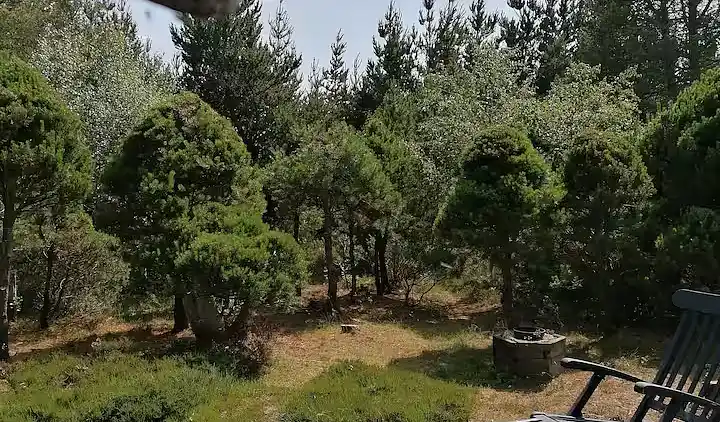 Feriehus ved stranden med hyggelig atmosfære