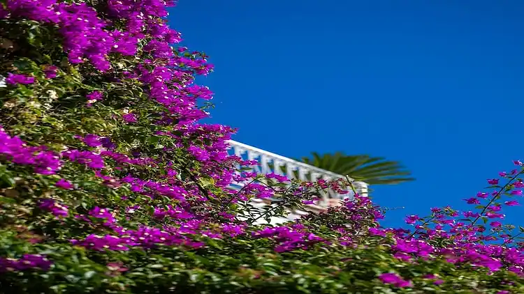 Holiday home in Positano