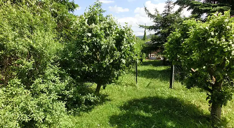 Sommerhus i Heimburg