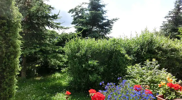 Sommerhus i Heimburg