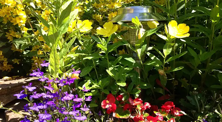 Sommerhus i Heimburg