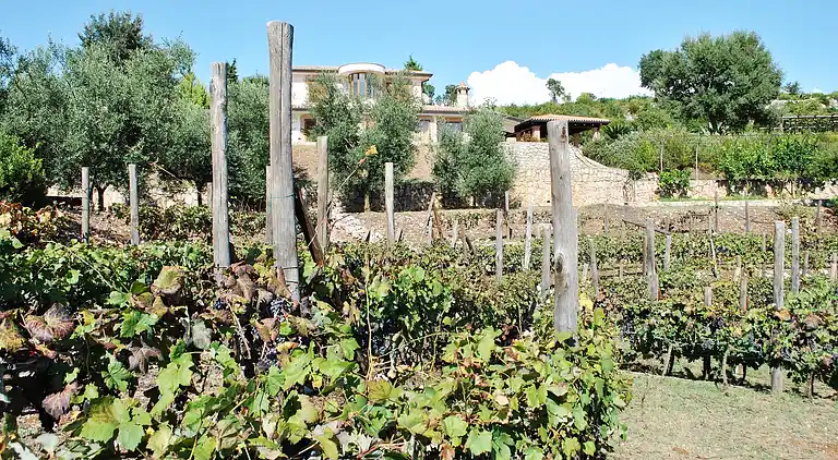 Freistehende Villa Uva & Stelle Maison in den Hügeln von