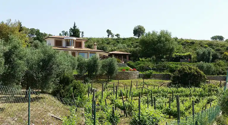 Freistehende Villa Uva & Stelle Maison in den Hügeln von