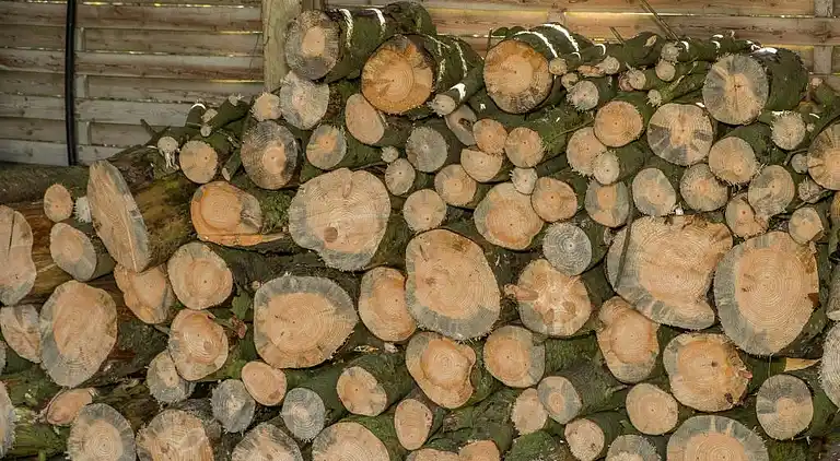 Feriebolig i Ebeltoft