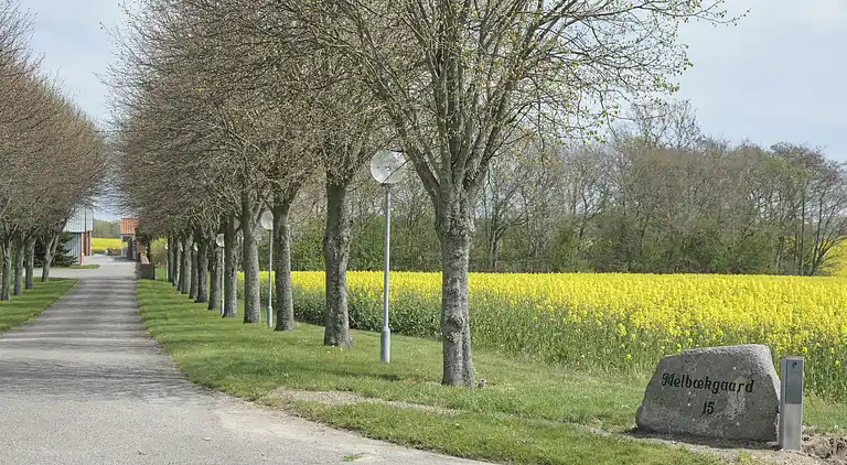 Feriebolig i Ebeltoft