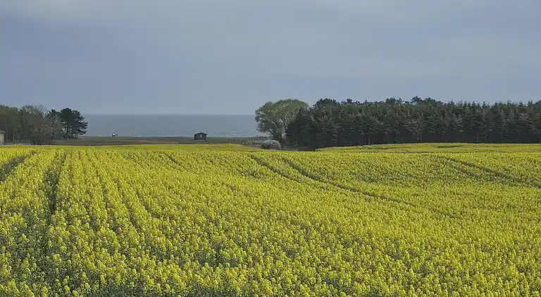 Feriebolig i Ebeltoft