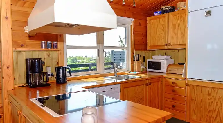 Feriebolig ved Vibæk Strand