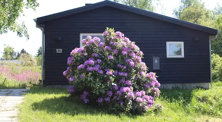 Feriebolig ved Egsmark Strand