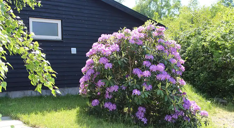 Feriebolig ved Egsmark Strand